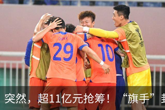 突然，超11亿元抢筹！“旗手”封死涨停，发生了什么？