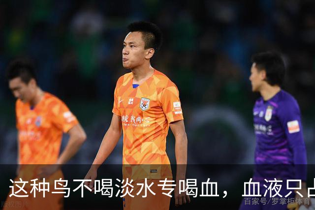 这种鸟不喝淡水专喝血，血液只占食谱十分之一