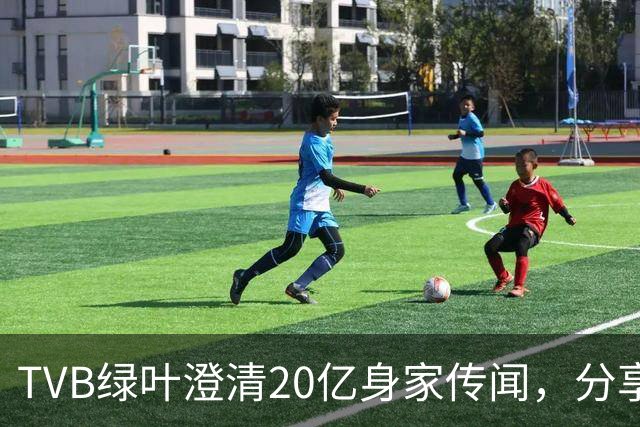 TVB绿叶澄清20亿身家传闻，分享加入共济会的经历，自嘲地位低